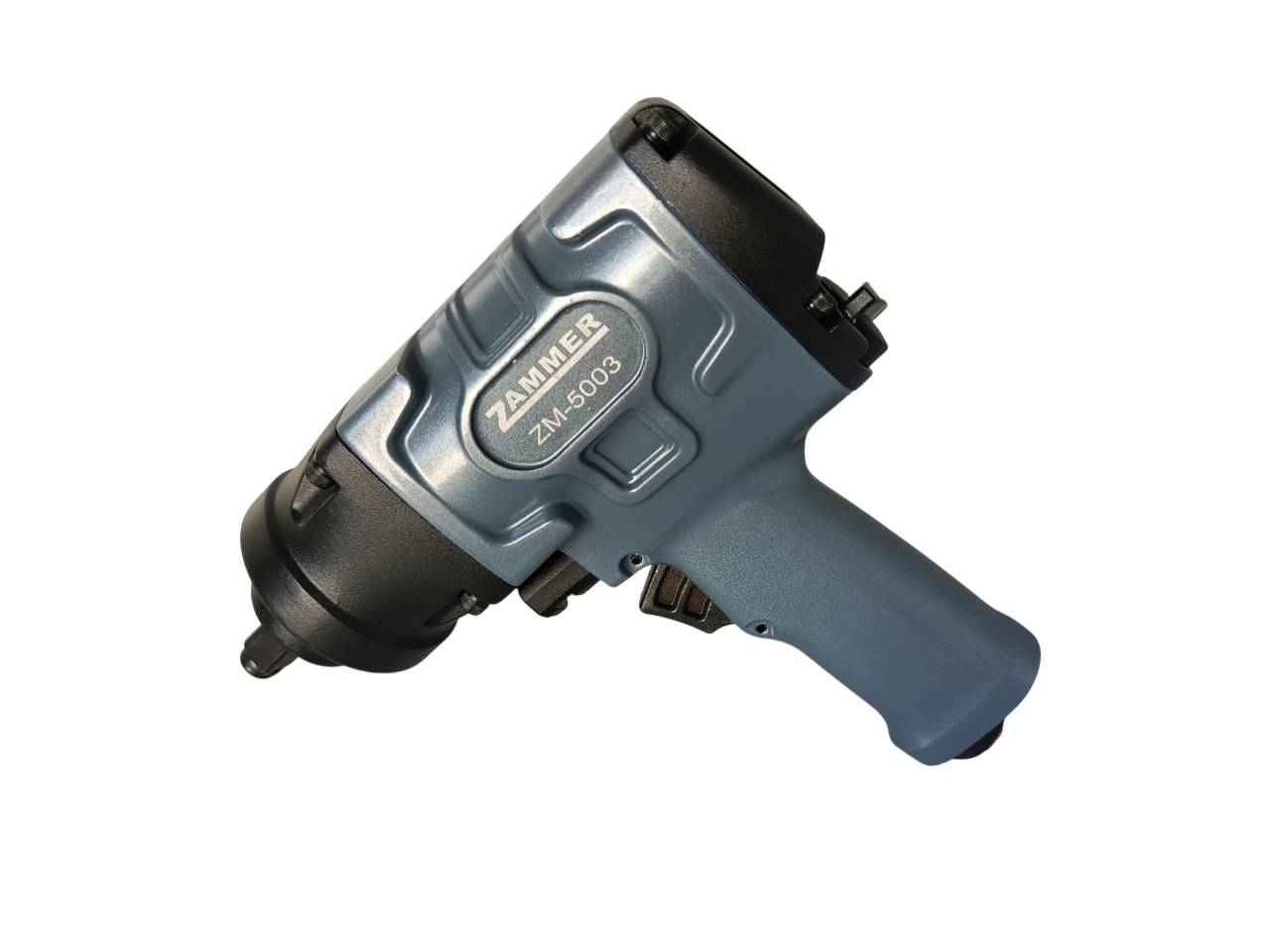zm_5003_1