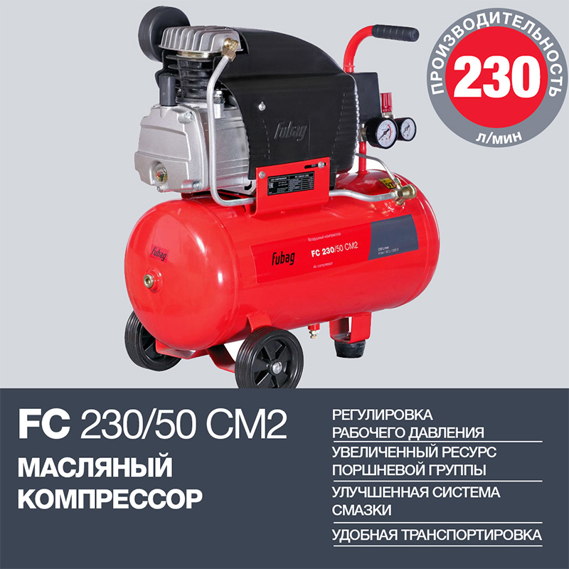 FC230_50_CM2_61431379_v2